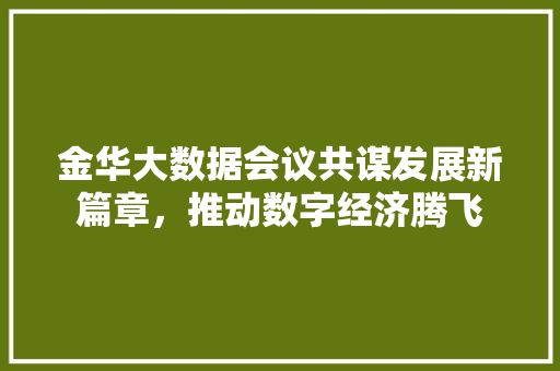 金华大数据会议共谋发展新篇章，推动数字经济腾飞