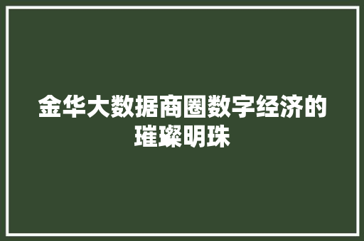 金华大数据商圈数字经济的璀璨明珠