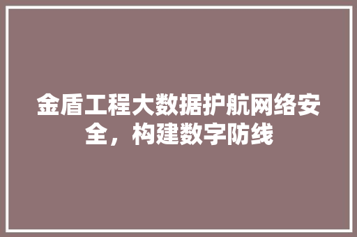 金盾工程大数据护航网络安全，构建数字防线