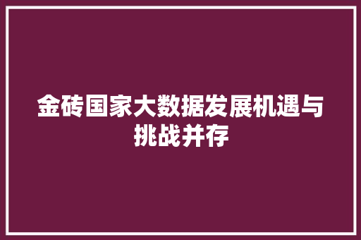 金砖国家大数据发展机遇与挑战并存