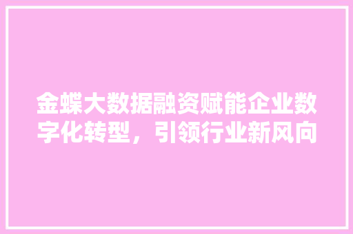 金蝶大数据融资赋能企业数字化转型，引领行业新风向