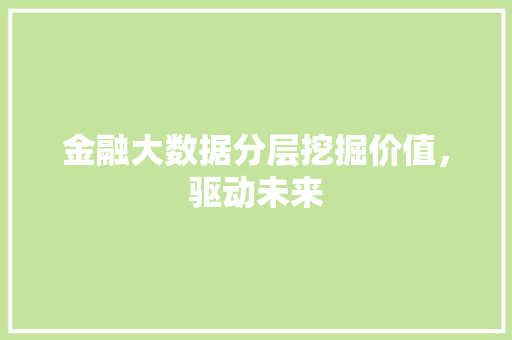 金融大数据分层挖掘价值，驱动未来  第1张