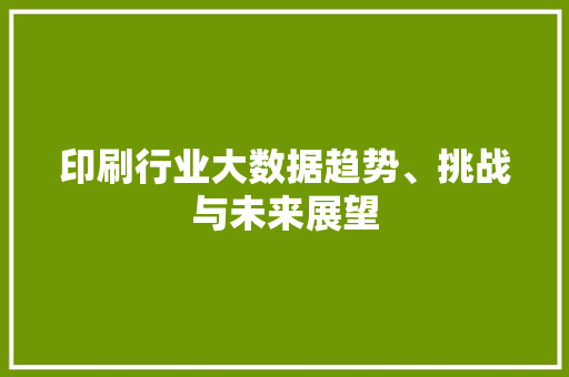 印刷行业大数据趋势、挑战与未来展望