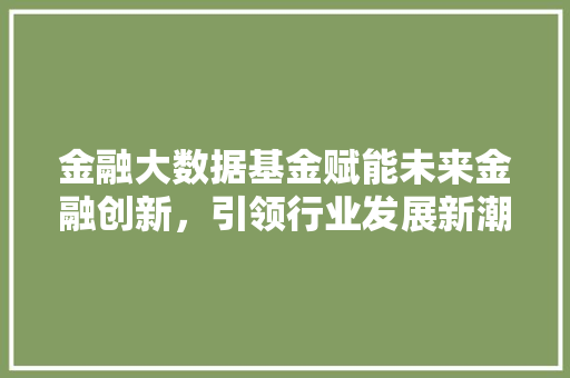 金融大数据基金赋能未来金融创新，引领行业发展新潮流  第1张