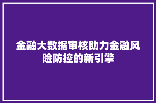 金融大数据审核助力金融风险防控的新引擎  第1张