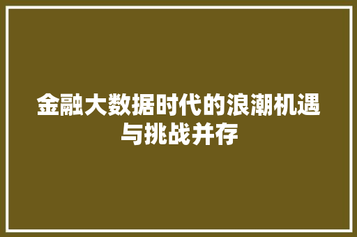 金融大数据时代的浪潮机遇与挑战并存  第1张