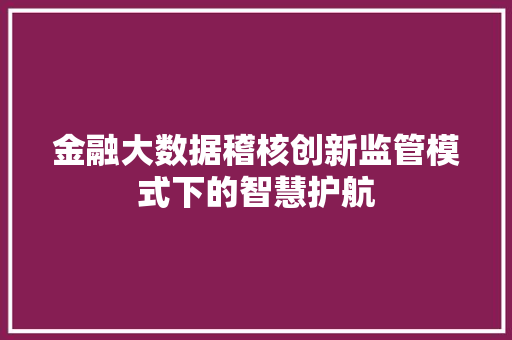 金融大数据稽核创新监管模式下的智慧护航  第1张