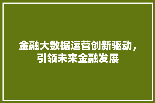 金融大数据运营创新驱动，引领未来金融发展  第1张