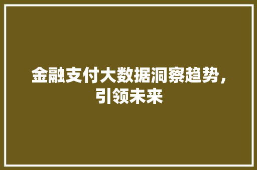 金融支付大数据洞察趋势，引领未来