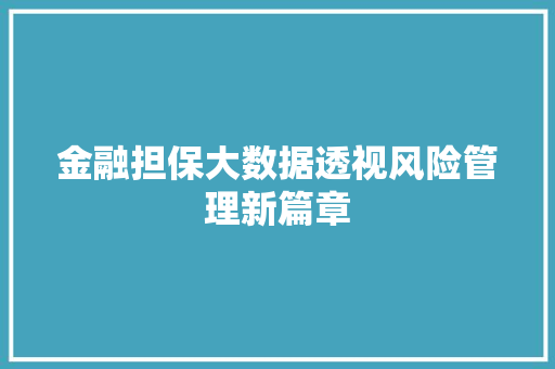金融担保大数据透视风险管理新篇章