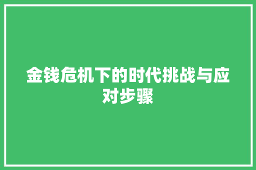 金钱危机下的时代挑战与应对步骤