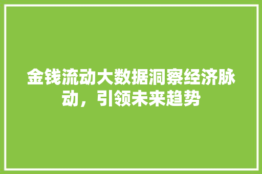 金钱流动大数据洞察经济脉动，引领未来趋势