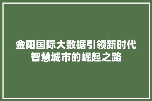 金阳国际大数据引领新时代智慧城市的崛起之路  第1张