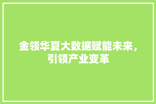 金领华夏大数据赋能未来，引领产业变革  第1张