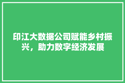 印江大数据公司赋能乡村振兴，助力数字经济发展
