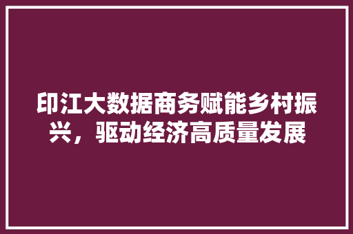 印江大数据商务赋能乡村振兴，驱动经济高质量发展