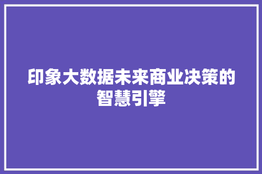 印象大数据未来商业决策的智慧引擎