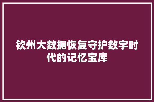 钦州大数据恢复守护数字时代的记忆宝库