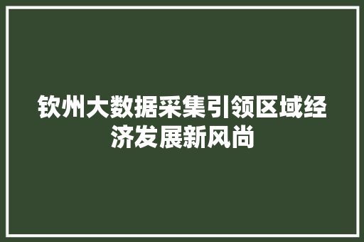 钦州大数据采集引领区域经济发展新风尚
