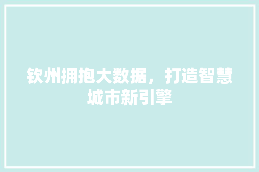 钦州拥抱大数据，打造智慧城市新引擎  第1张