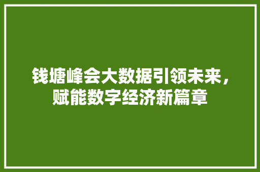 钱塘峰会大数据引领未来，赋能数字经济新篇章  第1张
