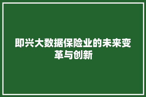 即兴大数据保险业的未来变革与创新  第1张