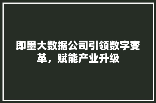 即墨大数据公司引领数字变革，赋能产业升级  第1张