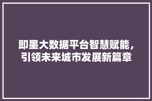 即墨大数据平台智慧赋能，引领未来城市发展新篇章