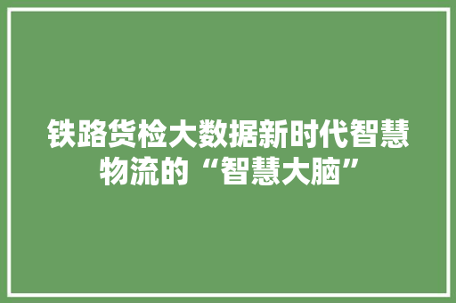 铁路货检大数据新时代智慧物流的“智慧大脑”