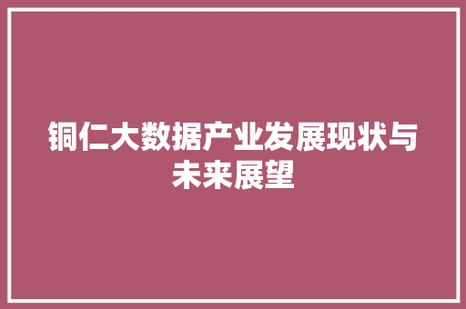 铜仁大数据产业发展现状与未来展望  第1张