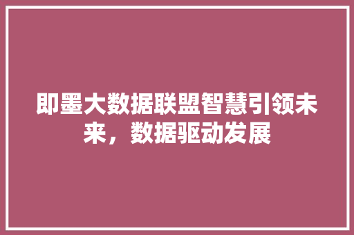即墨大数据联盟智慧引领未来，数据驱动发展  第1张