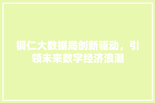 铜仁大数据局创新驱动，引领未来数字经济浪潮  第1张
