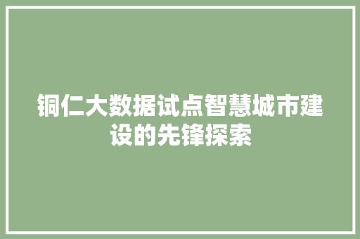 铜仁大数据试点智慧城市建设的先锋探索