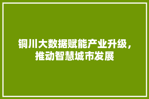 铜川大数据赋能产业升级，推动智慧城市发展  第1张