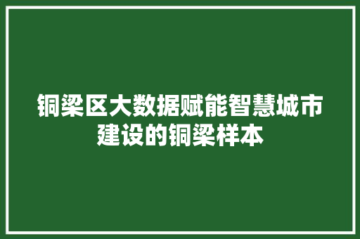 铜梁区大数据赋能智慧城市建设的铜梁样本  第1张