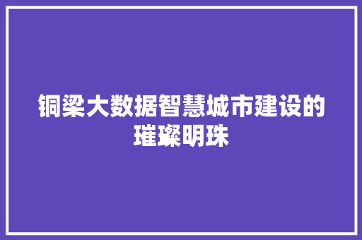 铜梁大数据智慧城市建设的璀璨明珠  第1张