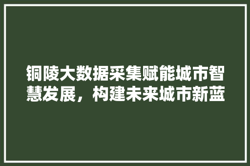 铜陵大数据采集赋能城市智慧发展，构建未来城市新蓝图  第1张