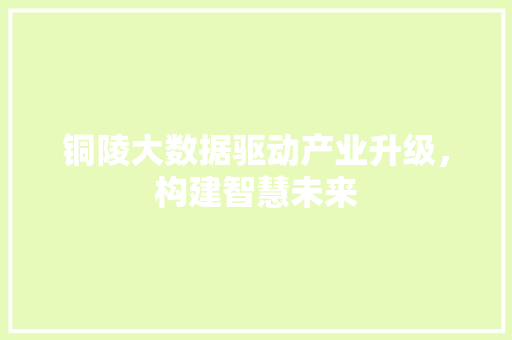 铜陵大数据驱动产业升级，构建智慧未来