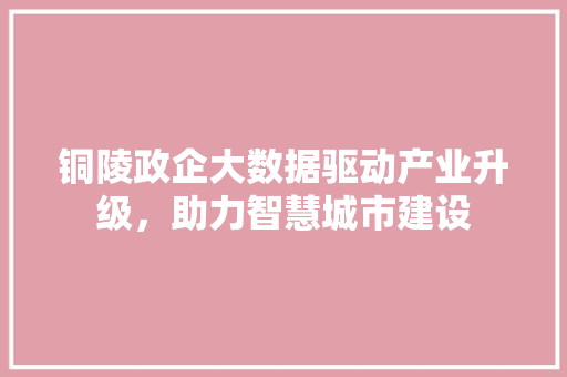 铜陵政企大数据驱动产业升级，助力智慧城市建设