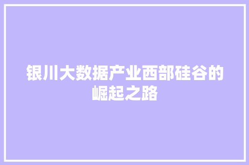 银川大数据产业西部硅谷的崛起之路  第1张