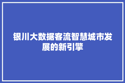 银川大数据客流智慧城市发展的新引擎