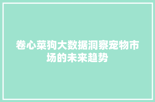卷心菜狗大数据洞察宠物市场的未来趋势