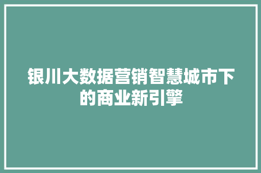 银川大数据营销智慧城市下的商业新引擎  第1张
