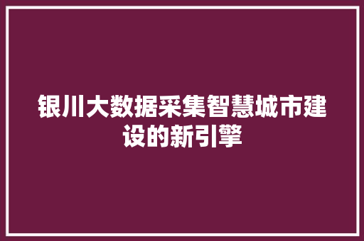银川大数据采集智慧城市建设的新引擎