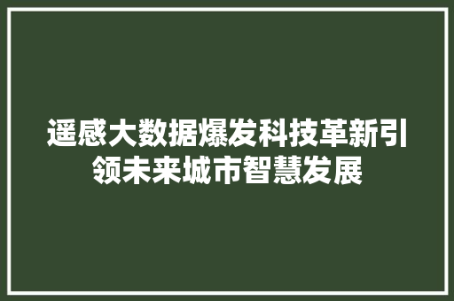 遥感大数据爆发科技革新引领未来城市智慧发展  第1张