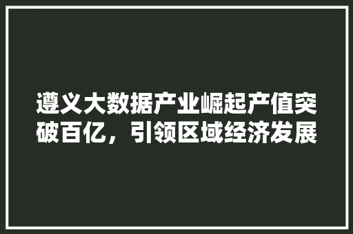 遵义大数据产业崛起产值突破百亿，引领区域经济发展新潮流  第1张