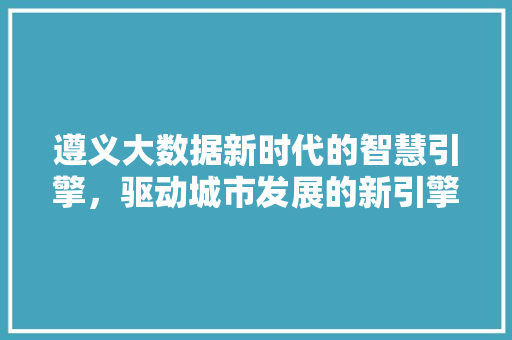 遵义大数据新时代的智慧引擎，驱动城市发展的新引擎  第1张