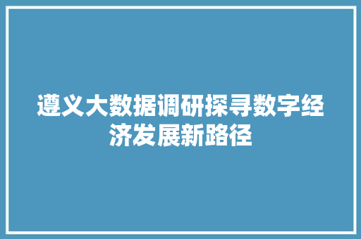 遵义大数据调研探寻数字经济发展新路径