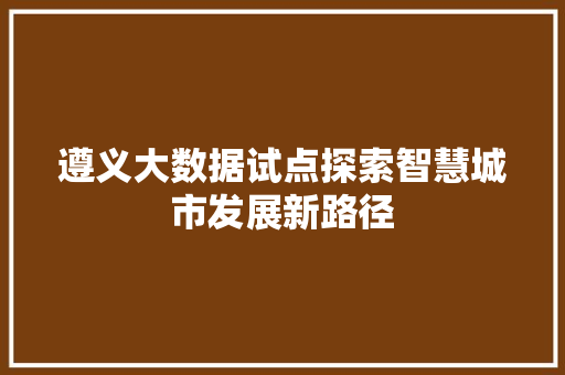 遵义大数据试点探索智慧城市发展新路径  第1张
