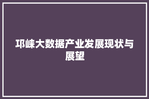 邛崃大数据产业发展现状与展望  第1张